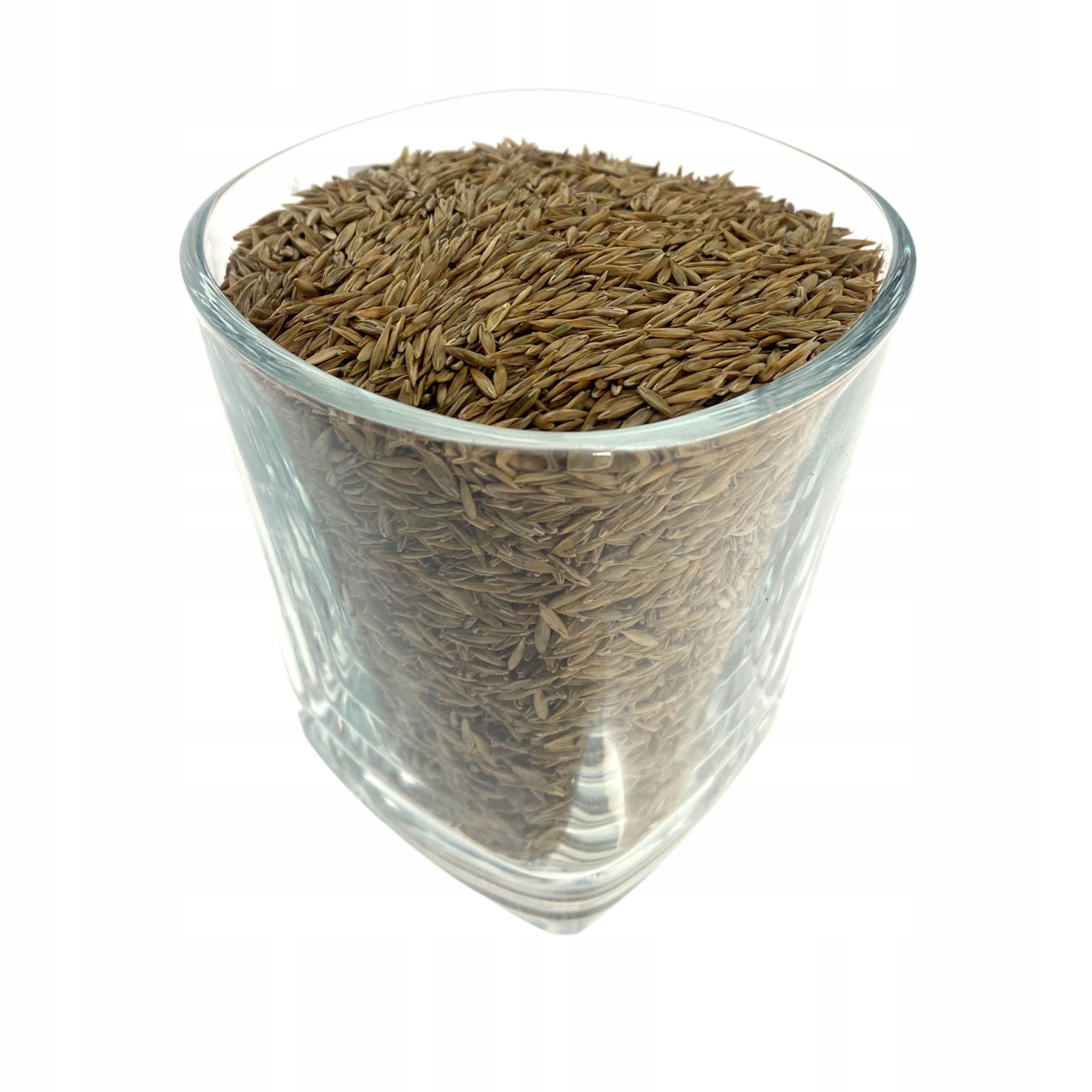 Tráva
