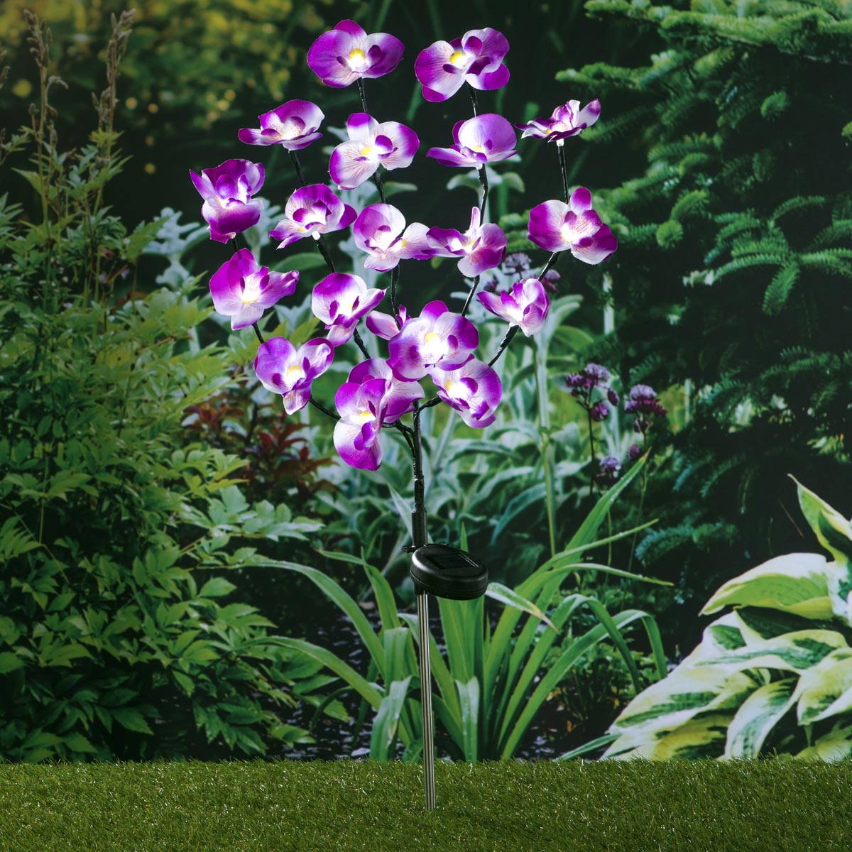 Orchidey