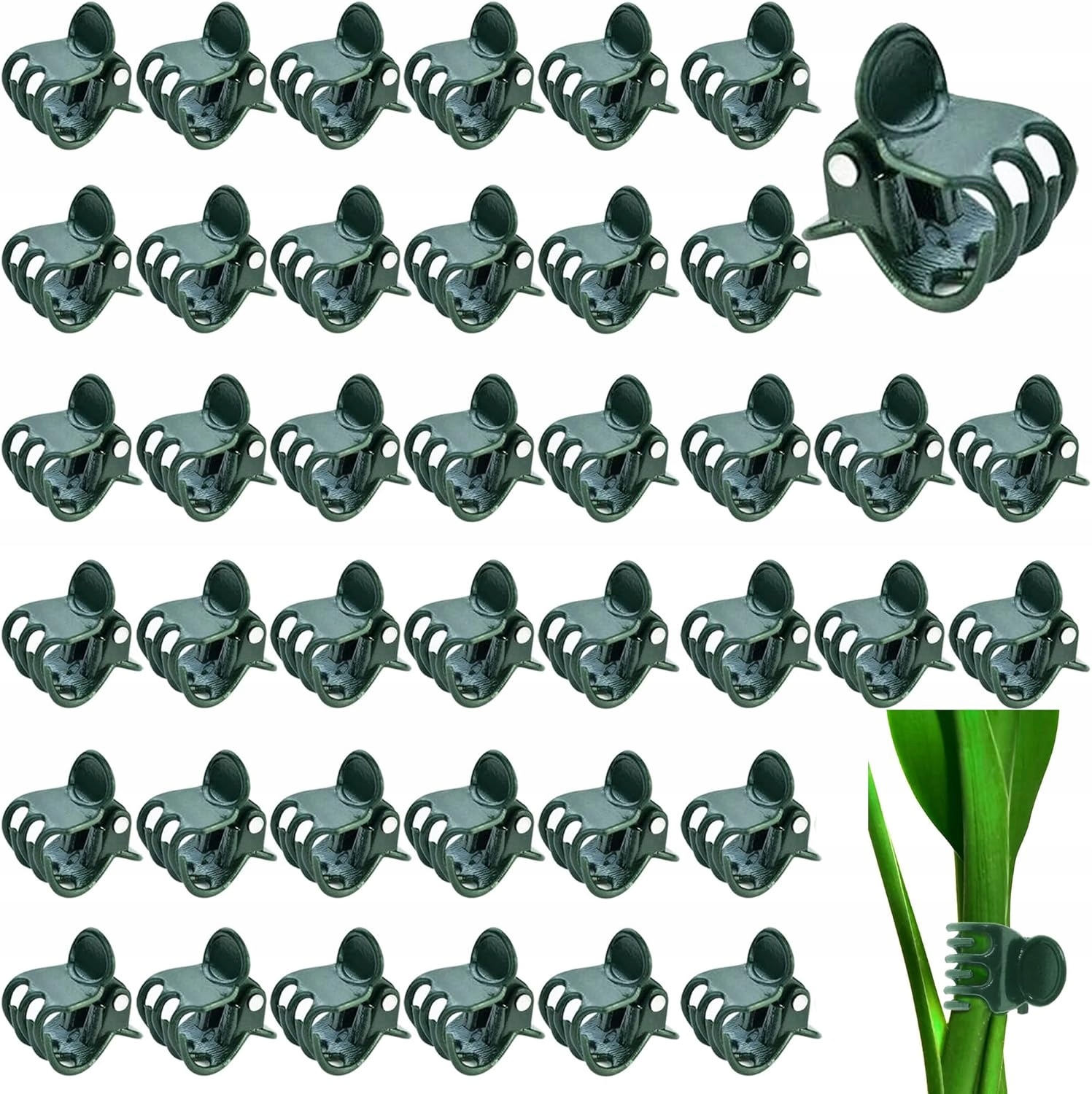 100x klipy na rastliny a orchidey | Podpora kvetov a stoniek