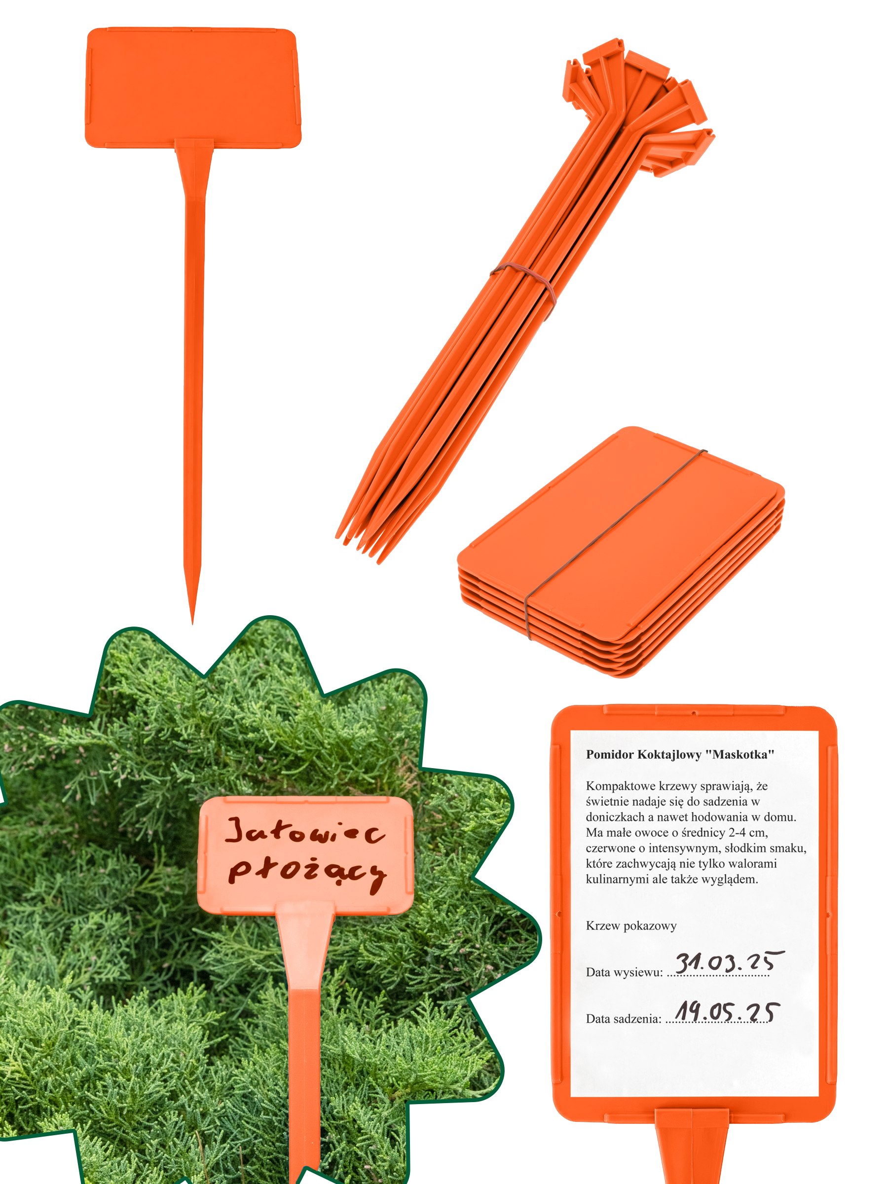 20x VEĽKÉ TABULE S POPISOM RASTLÍN 16x11 VYMENITEĽNÉ POĽNÉ ORANŽOVÉ