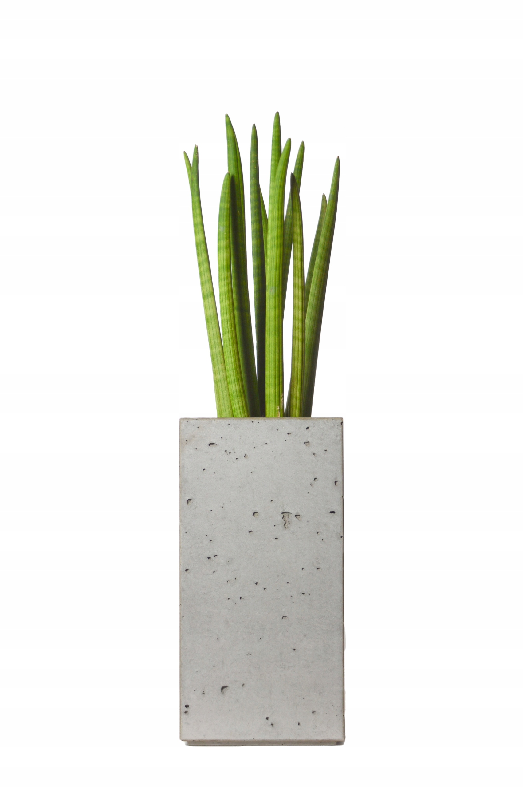Obal 50 × 25 cm, betónovo sivý