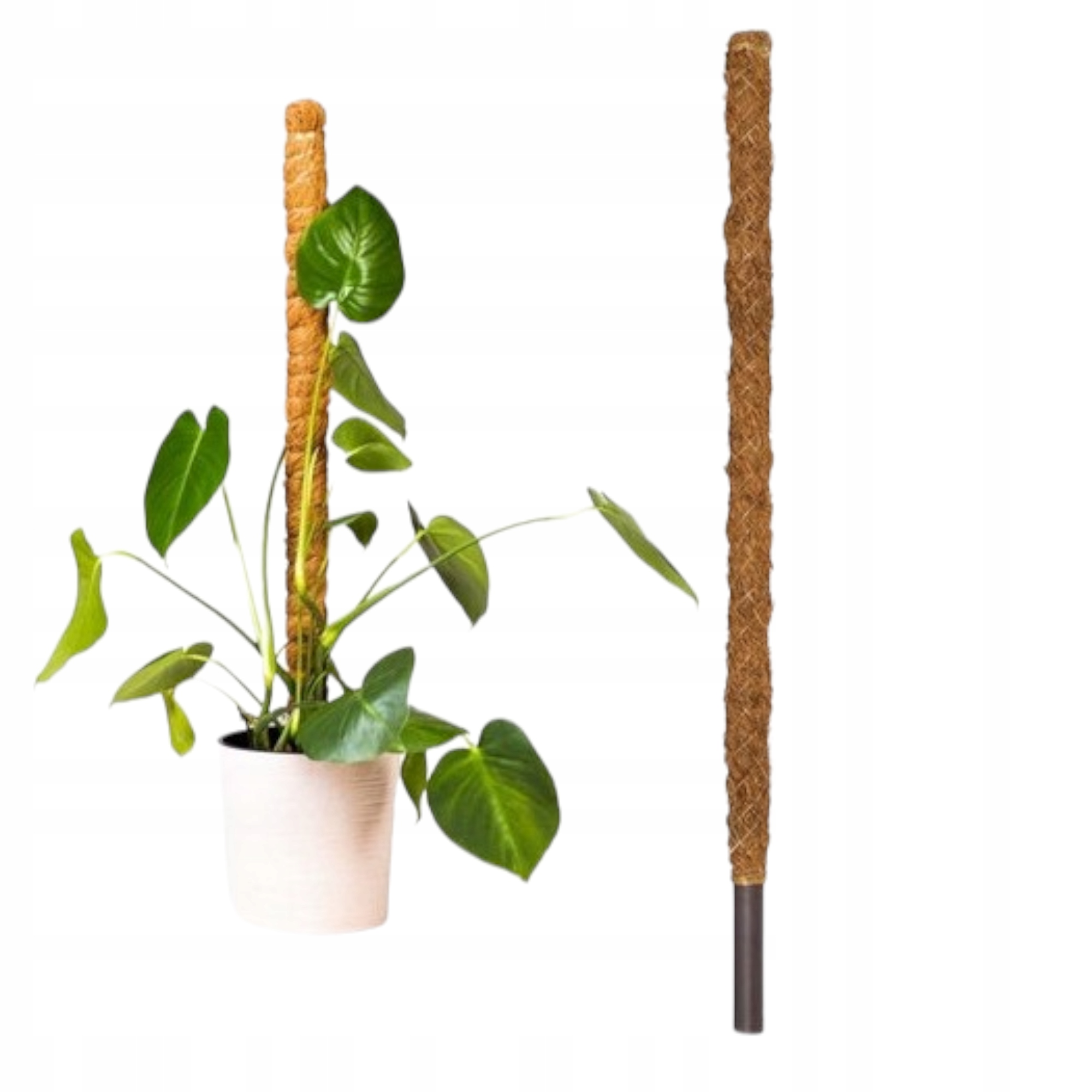 Podpery rastlín 100 cm 1 ks.