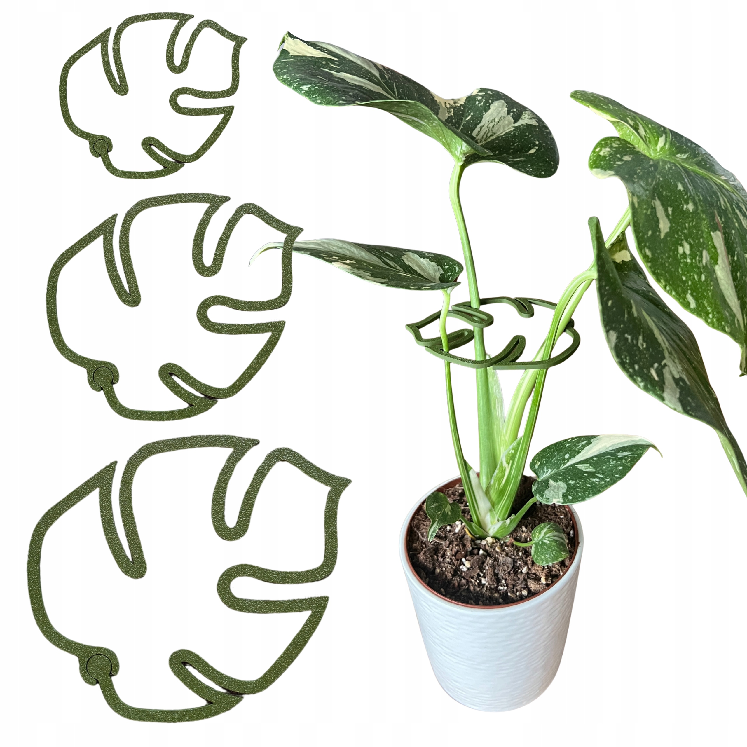 Podpora pre rastliny a kvety MONSTERA STRONG Spona na podporu SML 3x