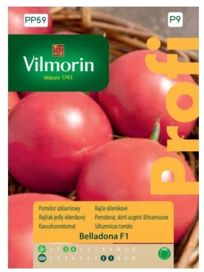 Paradajka Belladona F1 Vilmorin 8 semien