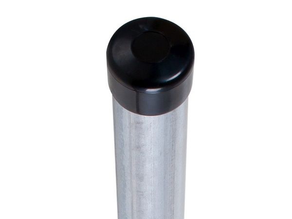 Galvanizujúci príspevok F50
