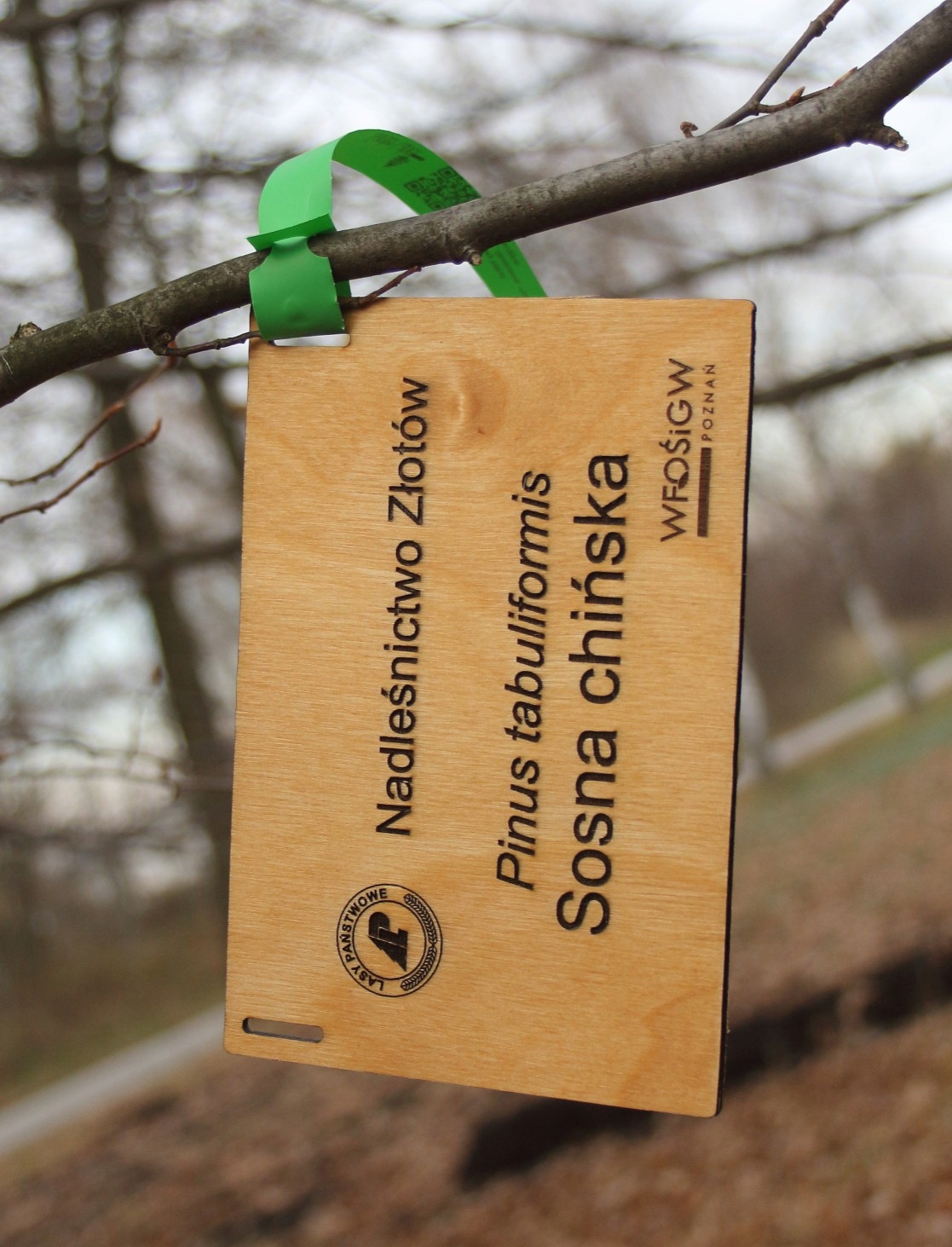 Záhradná plaketa/značka, drevená preglejka, laserové gravírovanie