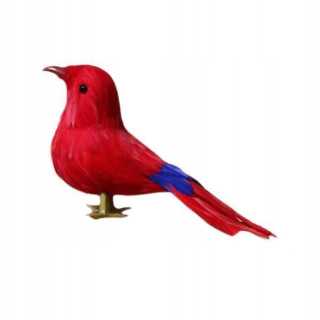 2x -Dry Bird Pen. Realistická domáca záhrada