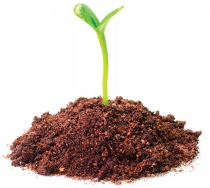 Záhradná pôda - 50L Sphango Sphagnum pH 3,5 4 tok sfhange sfhange