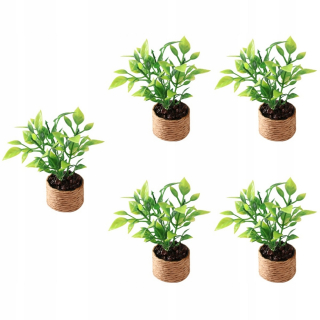 Dekorácia do záhrady - 5x Miniatúrne bonsai malé rastliny hrnca