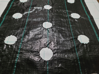 Agrotextília - Aggrolátka s OTVORMI na sadenice, 3 riadky, 110 cm