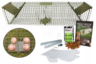 B. Veľká żywoolka pre líšky Marten Paw Otters Cats