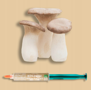 Huby na pestovanie - Obruba záhradného trávnika, plast, 10 m, čierna, 6 cm