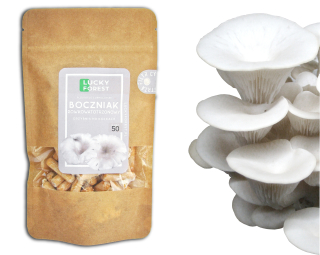 Huby na pestovanie - Veslované huby ustrice s mycelium 50