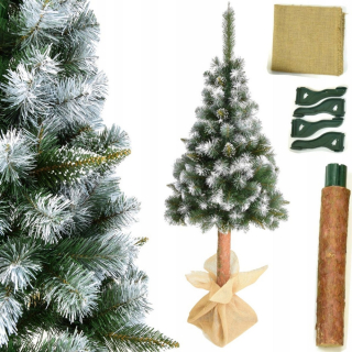 Umelý vianočný stromček na kufri - Diamond Pine 180 cm