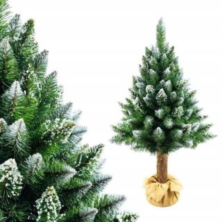Diamantová borovica vianočného stromčeka na 130 cm kmeňa SNPD PN24