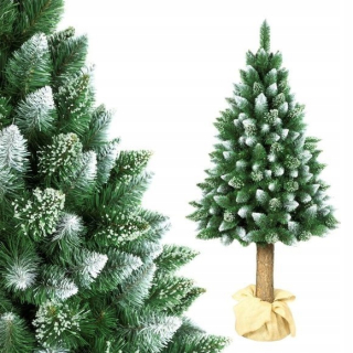Diamantová borovica vianočného stromu na 180 cm Śnpd PN24 Trunk