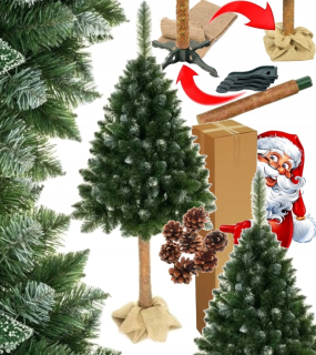 Vianočný stromček zelená borovica pre 3D diamantový kmeň 180 cm