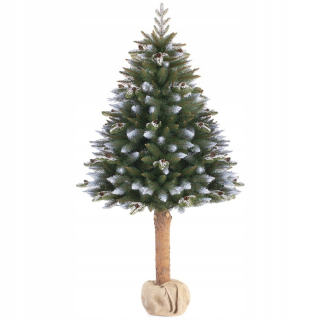 CS/AH/PINE/JASMINE/180