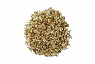 Blawkan Cornflower - semená - 1 000 gramov