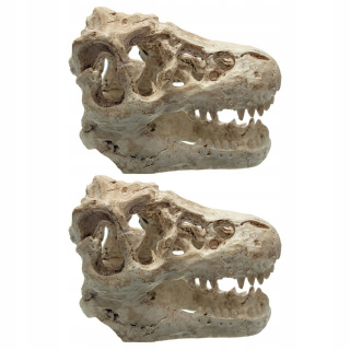 Dekorácia do záhrady - Akvárium z živice dinosauru 2 ks
