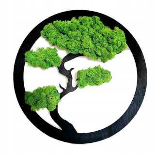Dekorácia do záhrady - Bonsai strom s machom odvážnym obrazom od Moss Cz