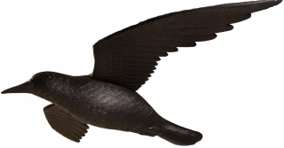 Veľká vrana vo letovom repelei Bird 60 cm
