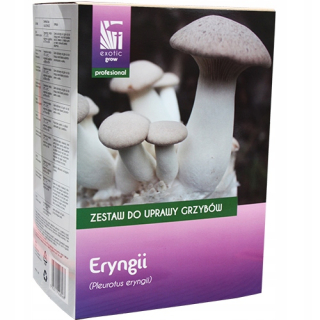 Huby na pestovanie - Eryngie Sada pre rastúce huby