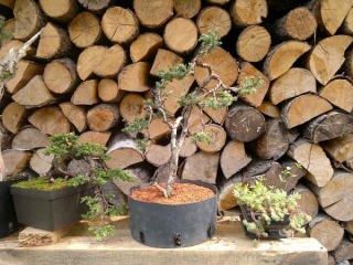 Štrk, kamene do záhrady - Euro -akadama - Zem pre bonsai 20 kg/40 l - 1-4 mm