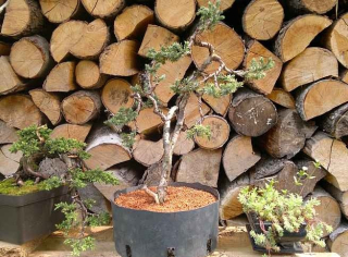 Štrk, kamene do záhrady - Hormann Sada ZK ECO 279576 Dvere.