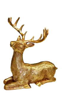 Figura - REGIER JEOLEM GOLDOL MODEL XX Design