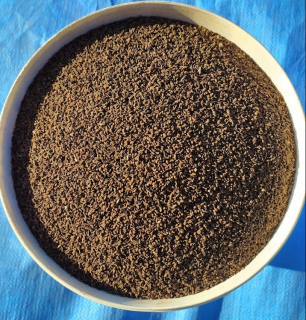 Medovo modrá facélia pre medziplodiny 3 kg