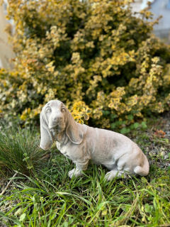 Záhradná figurína baset hound ps