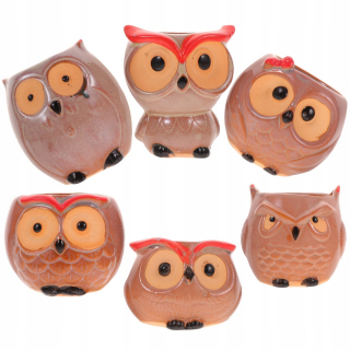 Predmet Suctulette Pot Container 6 ks