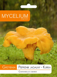Huby na pestovanie - Huby kuka, korenie -huby lesných húb