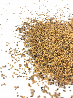 Sarepian horčica na 5 kg