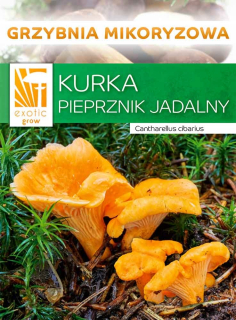 Huby na pestovanie - Mick mycelium, lesné huby, mycorrhiza