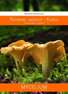 Huby na pestovanie - Huba