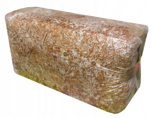 Huby na pestovanie - Huby huby huby huby substráty húb až do 7 kg balíkov