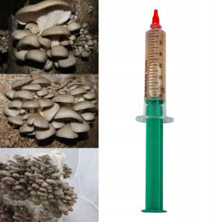 Huby na pestovanie - Liquid mycelium ustrice ustrice 10 ml