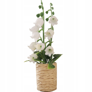 Dekorácia do záhrady - Hyacinth Green Hyacint Rastlinná rastlina