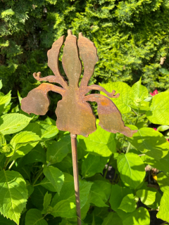 Dekorácia do záhrady - Iris Garden Decoration Vysoká oceľ pokrytá hrdzou