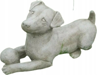 Jack Russell Betón