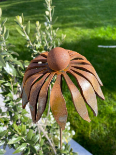 Dekorácia do záhrady - Decorácie na vysokej škole Echinacea