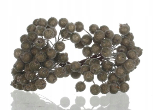 Green Rowan v ľadových guľôčkách, mrazené čarotania