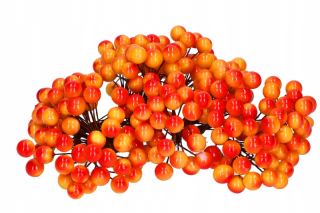 Rowan on the Wire Hawthorn 240 ks 139