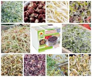 SALTkole + Semená X10 pre klíčky 290G