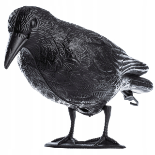 Raven Bird Repeller z Pigeon Starlavs na balkóne