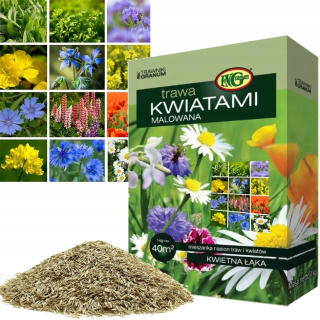Kwietna Meadow 1 kg trávniková zmes rastlín medu