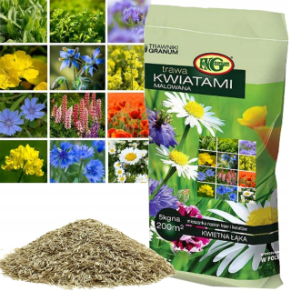 Kwietna Meadow 5 kg trávnikovej zmesi medových rastlín