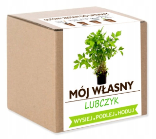 Lovage nastavený na kultiváciu - vaše bylinky doma